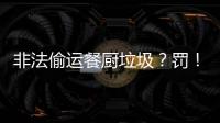 非法偷运餐厨垃圾？罚！