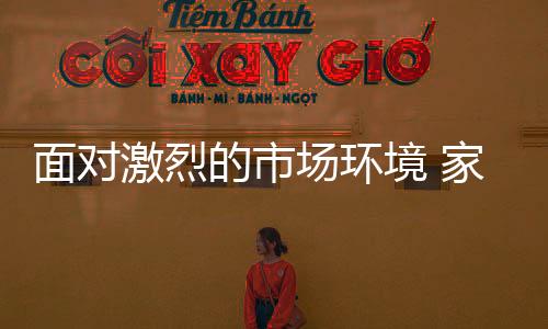 面对小户型渐成主流