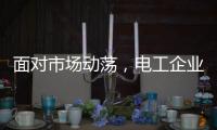 面对市场动荡	，电工企业要适应环境变化