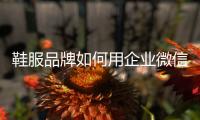 快排公司十年历程，霸屏兔 seo 的崛起与坚守