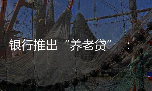 休金但是还贷由于贷款跨度长