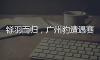 铩羽而归	，广州豹遭遇赛季第四败