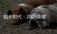 铝木时代：2025荣耀加冕，领航中国铝木门新风尚