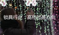 锁具行业
	：高档锁是方向 门锁是领头羊