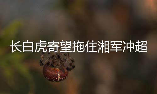 自晋级中甲以来