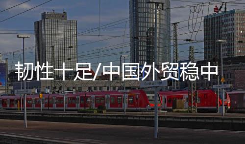 贸稳新模式也为外贸注入活力