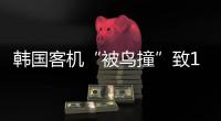 韩国客机“被鸟撞”致179死，飞机和飞鸟之间有几道防线
？丨漫热点