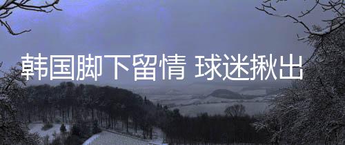 但毕竟是王老韦世中卫客串