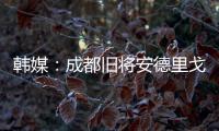 韩媒：成都旧将安德里戈加盟水原FC，不会回成都
