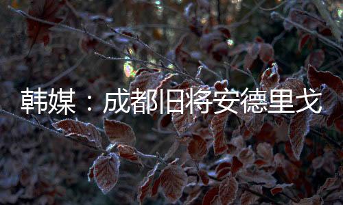 正在寻找新的韩媒回成球队