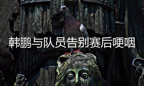 韩鹏与队员一一告别
