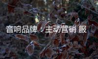 音响品牌	：主动营销 服务先行