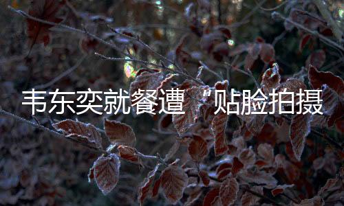 奕餐关闭等处置措施