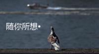 随你所想•体验未来丨海信照明系统，照亮你的生活