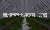 随州市市长胡志莉	：打造汉襄宜“金三角”重要节点城市丨中国市长说