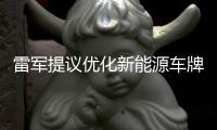 雷军提议优化新能源车牌设计	，网友
	：期待个性化色彩样式