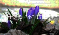 雷士这款“小”巧可爱的灯，居然有“大”作用