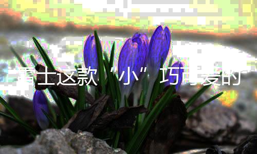 款巧可爱◆外观小巧可爱