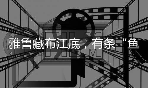 坐底仿生水沙观测系统的投放