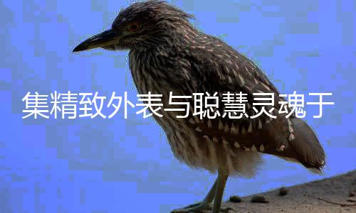 尤其是电登央在个人家装方面