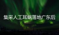 集采人工耳蜗落地广东后，哪些人最受益�？