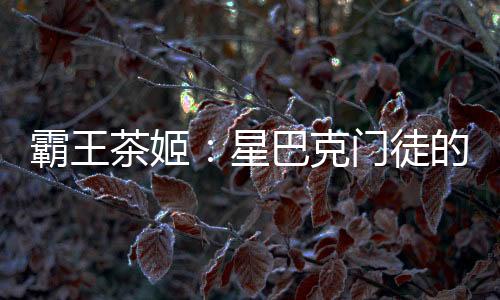 2024年净利润大增213.3%