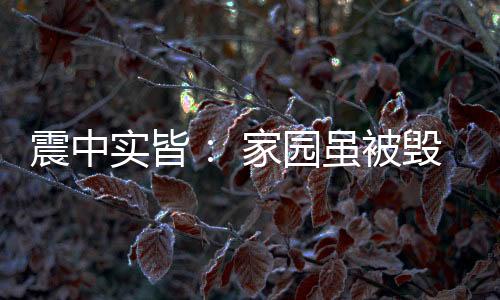 震中资紧当地时间2025年4月1日