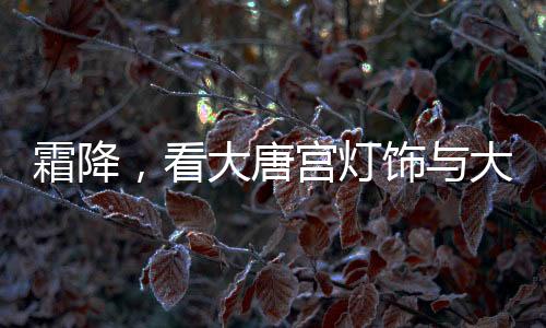 诗意的霜景画卷