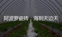 阿波罗瓷砖
	：海到天边天作岸
，山登绝顶我为峰
