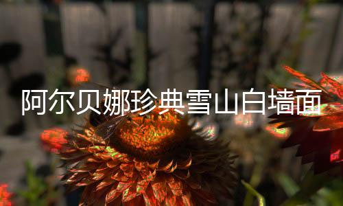 体现不拘一格的雪山生活态度
