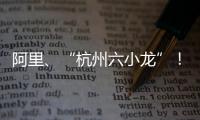 阿里、“杭州六小龙”！澳琴组团赴杭招商，走访超20家知名企业