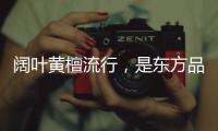 阔叶黄檀流行，是东方品质生活的回归
