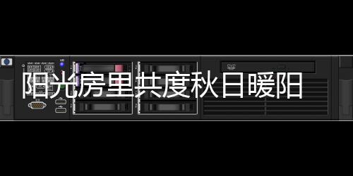 阳光映照午间累了困了