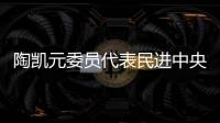 陶凯元委员代表民进中央发言	�：呵护青少年心理健康助推健康中国建设