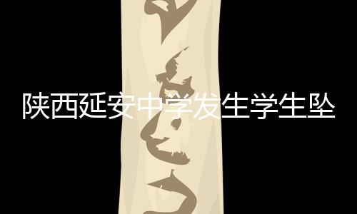 陕西事件进一步调查