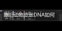 陈旧动物皮张DNA如何获取？ 最新研究称改良方法值得推广