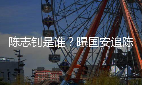 作为边锋或前卫的陈志他