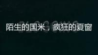 陌生的国米，疯狂的夏窗！净投入1亿欧，或有5000万欧豪购
！