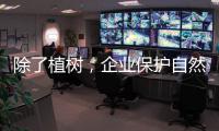 除了植树，企业保护自然的故事还能怎么讲？