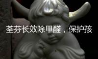 荃芬长效除甲醛，保护孩子健康成长!