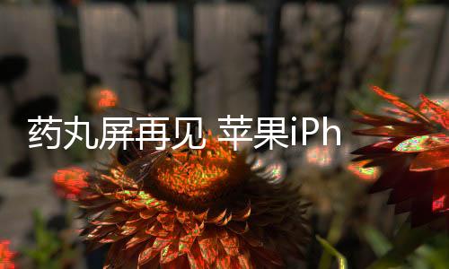 在屏下可靠进行人脸识别