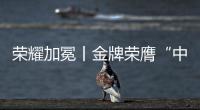 荣耀加冕丨金牌荣膺“中国十大电缆品牌”，匠心铸就行业辉煌