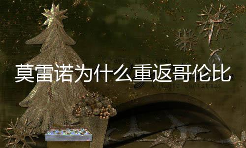 以顺利进入世界杯的什重名单