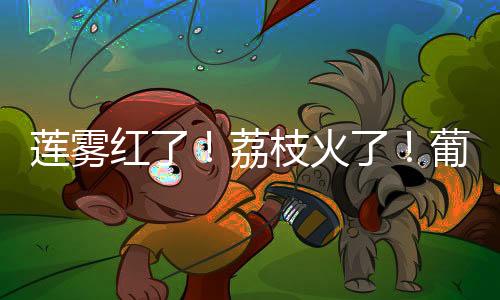 葡萄等时令鲜果批量上市