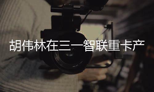 业园氢、调研5月30日