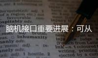 脑机接口重要进展
：可从微细血管获得神经信号