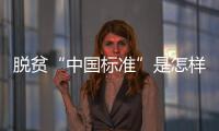 脱贫“中国标准”是怎样制定的？ 下一步怎么走？