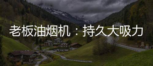 自然能容纳更多的机持久车辆