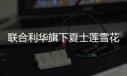 对于夏士莲雪花品牌未来发展