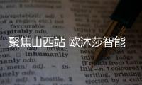 快排公司十年历程，霸屏兔 seo 的崛起与坚守